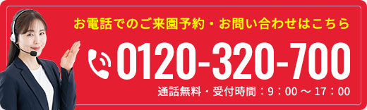 通話無料・受付期間9時〜17時 電話をかける