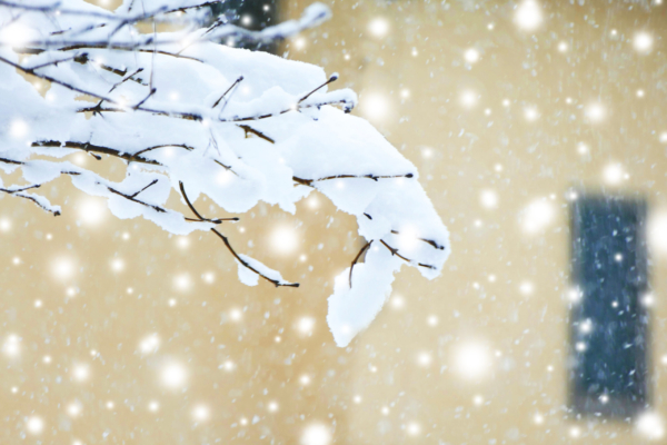 「雪の日の想い出」