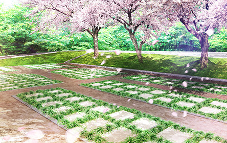 みつわ樹木葬須坂霊園の樹木葬区画の納骨イメージ