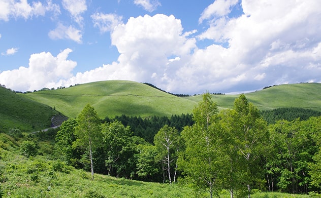 長野県の自然