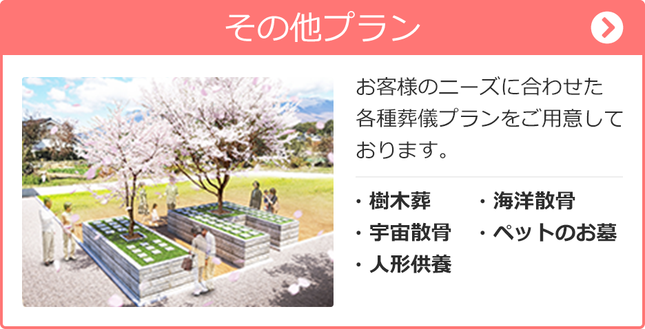 大きな桜の木が印象的な樹木葬霊園のイメージ